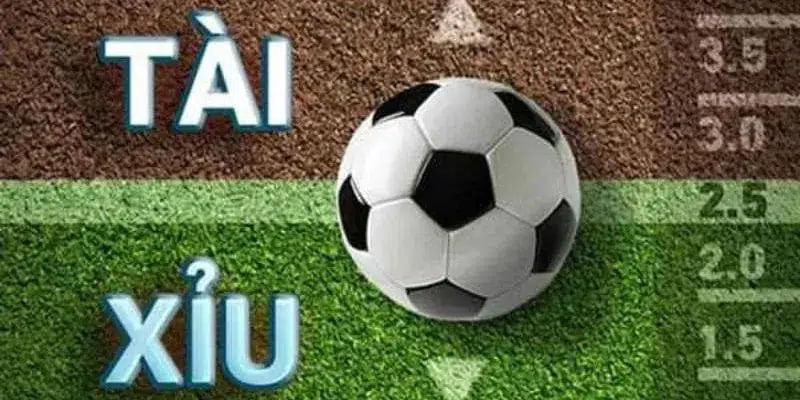 Kinh nghiệm soi kèo tài xỉu bóng đá từ cao thủ lâu năm 10 Kinh nghiệm soi kèo tài xỉu bóng đá