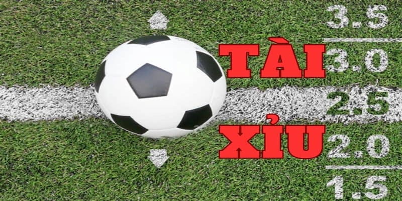 Kinh nghiệm soi kèo bóng đá tổng thẻ phạt