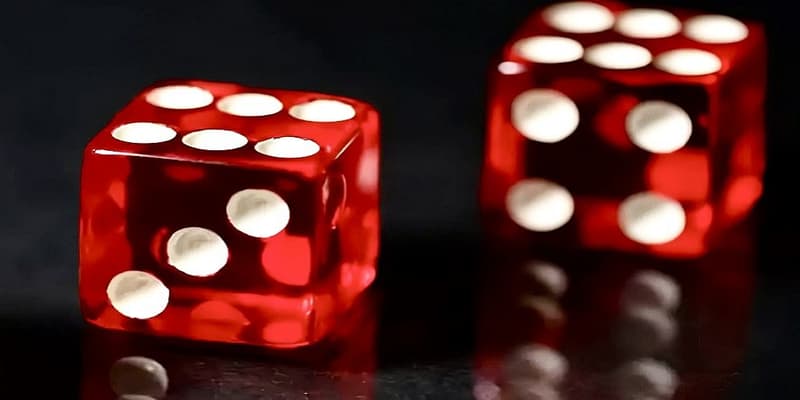 Hướng dẫn tải game tài xỉu nhanh chóng, hiệu quả năm 2024 4 Một số lưu ý khi chơi